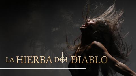Ver película La Hierba del Diablo Online HD Gratis