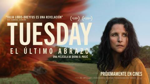 Ver película Tuesday Online Gratis en español